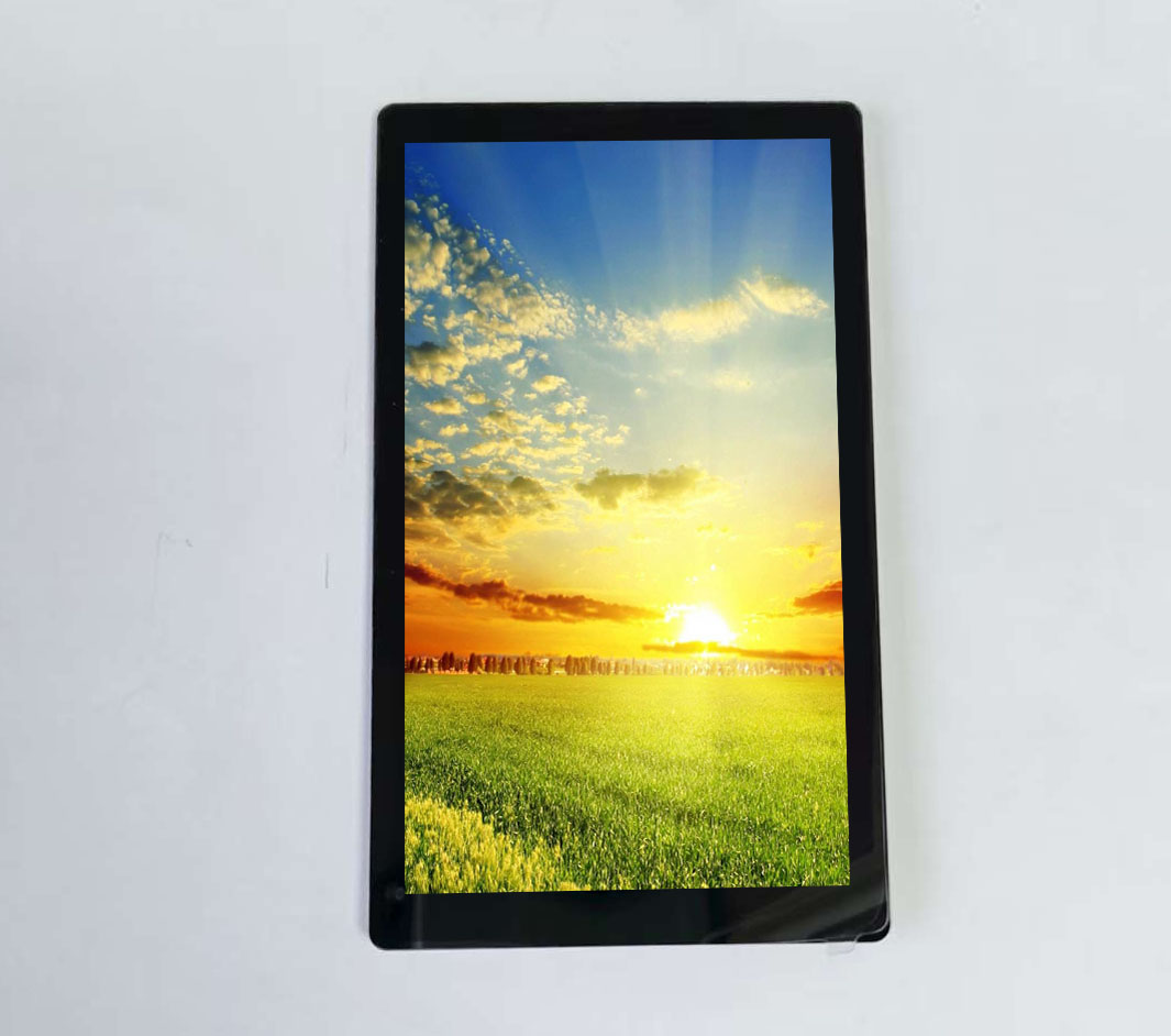 480*800の解像度とタッチスクリーン、ウルトラスタインと低コストの4.3インチのインセルLCD。